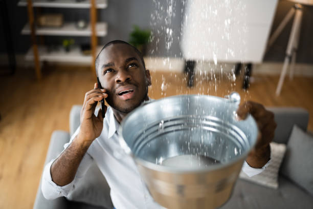 Best Mold removal after water damage  in Dorr, MI