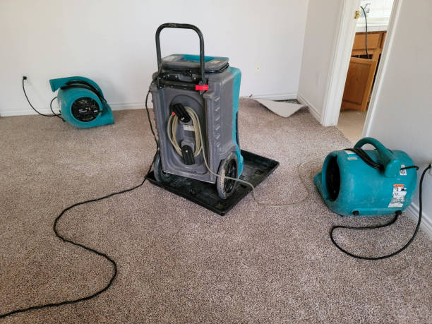 Best Water damage restoration near me  in Dorr, MI