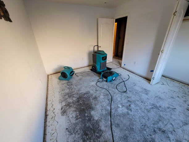 Best Commercial water damage restoration  in Dorr, MI