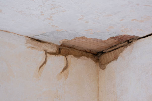 Sewage cleanup and water damage restoration in Dorr, MI