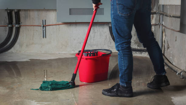 Best Water damage restoration experts  in Dorr, MI