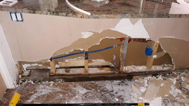 Best Water damage restoration specialists  in Dorr, MI
