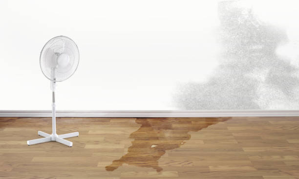 Reliable Dorr, MI Water damage restoration Solutions