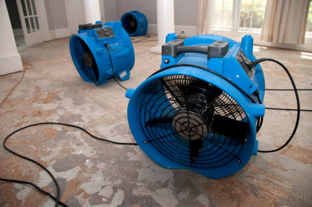 Best Sewage cleanup and water damage restoration  in Dorr, MI