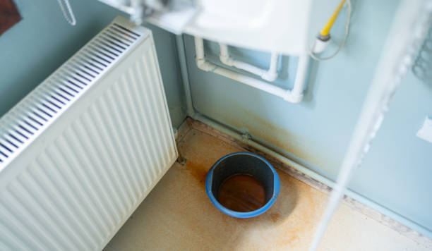 Best 24/7 water damage repair  in Dorr, MI