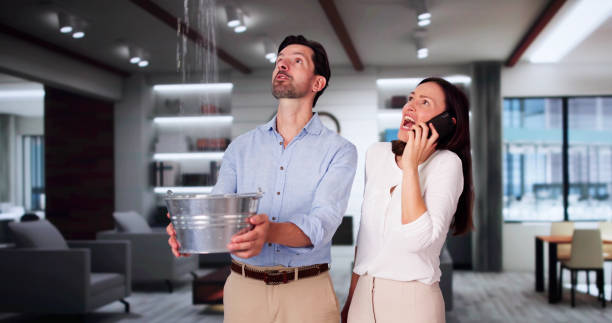 Best Flood damage cleanup  in Dorr, MI